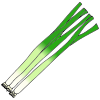 Green Onions Picture