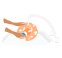 Wash Dishes