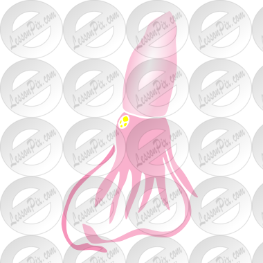 Squid