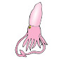 Squid