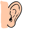 Ear Picture