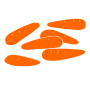 Carrots