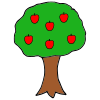 6 Apples  Picture