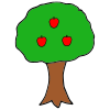 3 Apples  Picture