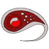 Paisley Picture