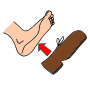 Put on Shoe