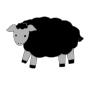 Sheep Picture