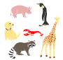 Animals