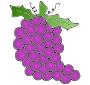 Grapes Picture