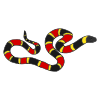 Snake Picture