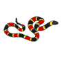 Snake Picture