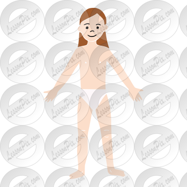Body