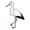 Stork Picture