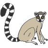 Lemur Picture