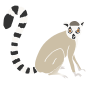 Lemur Stencil