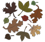 Dead Leaves Picture