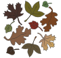 Dead Leaves