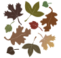 Dead Leaves Stencil