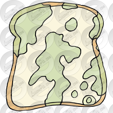 Moldy Bread Picture