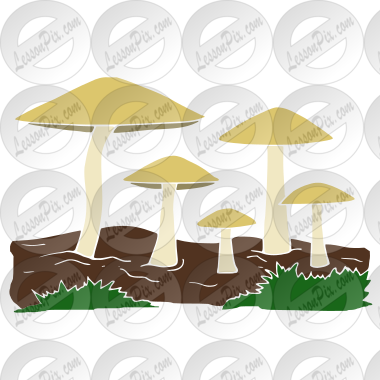Mushrooms Stencil