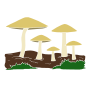 Mushrooms Stencil