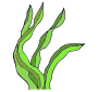 Seaweed  Picture