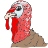 Turkey Head Picture