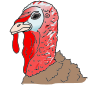 Turkey Head