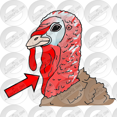 Waddle