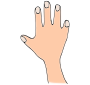 Hand