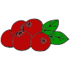 Cranberries