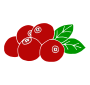 Cranberries