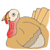 Turkey Picture