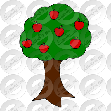 Apple Tree