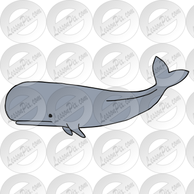 Whale