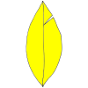 Feather