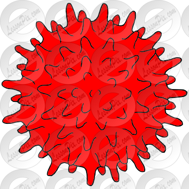 Sensory Ball