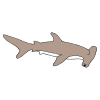 Hammerhead Shark Picture