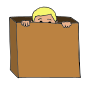 Hide