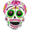 Excited Calavera Picture