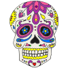 Calavera Picture