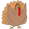 Mad Turkey Picture