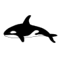 Killer Whale