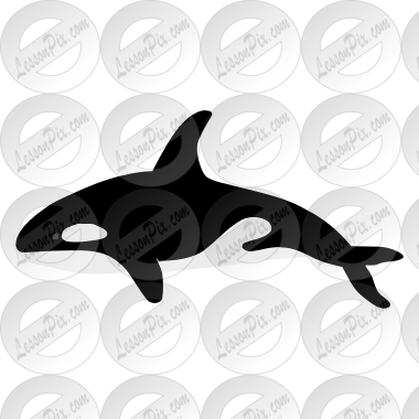 Killer Whale