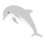 Dolphin Stencil