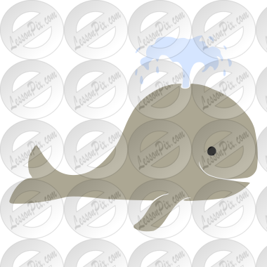 Whale