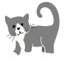 Kitten