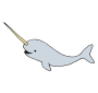 Narwhal Picture