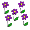 Flowers Picture