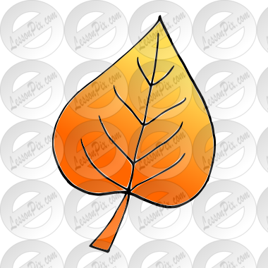 Leaf